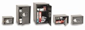 Electronic Security Safes